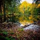 Herbst im Schlosspark Brühl II