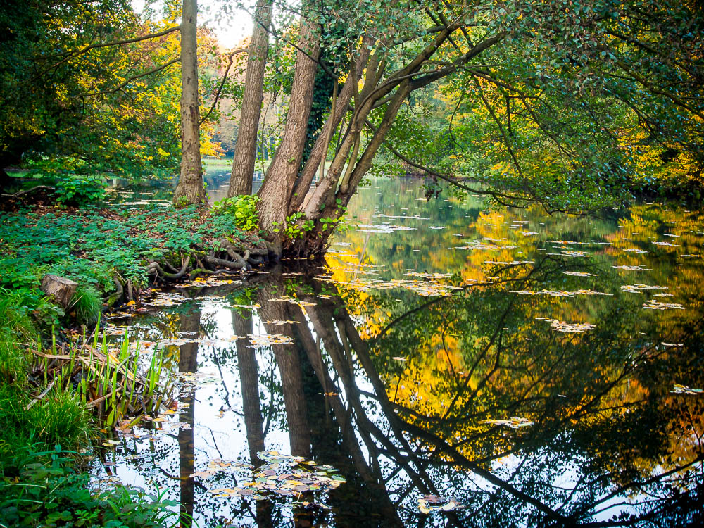 Herbst im Schlosspark Brühl III