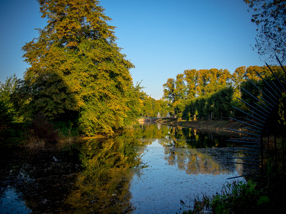 Herbst im Schlosspark Brühl IV