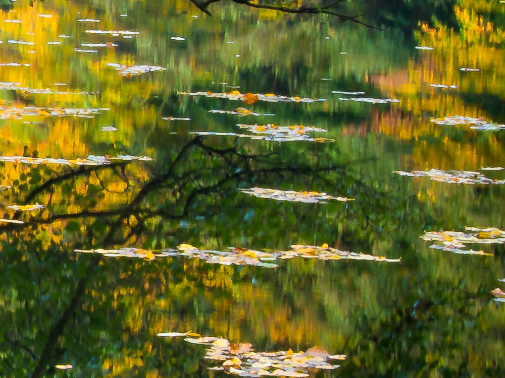 Herbst im Schlosspark Brühl V