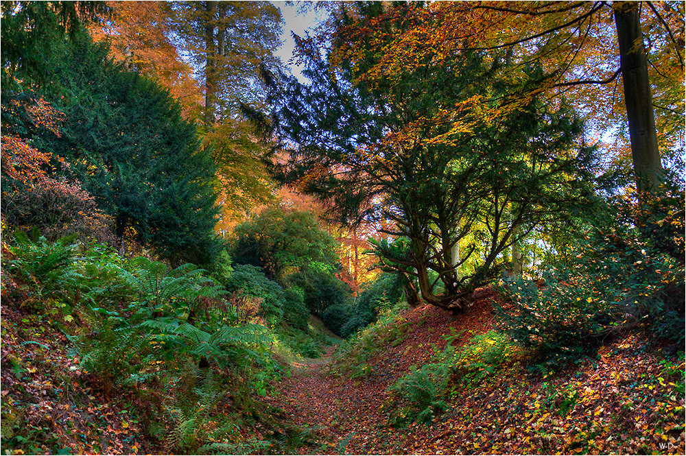 Herbst im Schlosspark