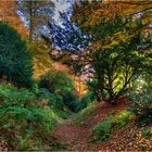 Herbst im Schlosspark