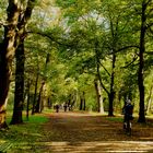 Herbst im Schlosspark