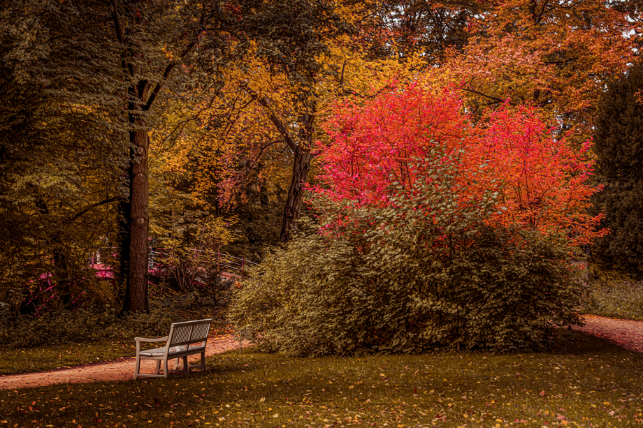 Herbst im Schlosspark Charlottenburg