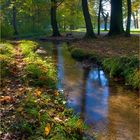 ... herbst im schloßpark ...