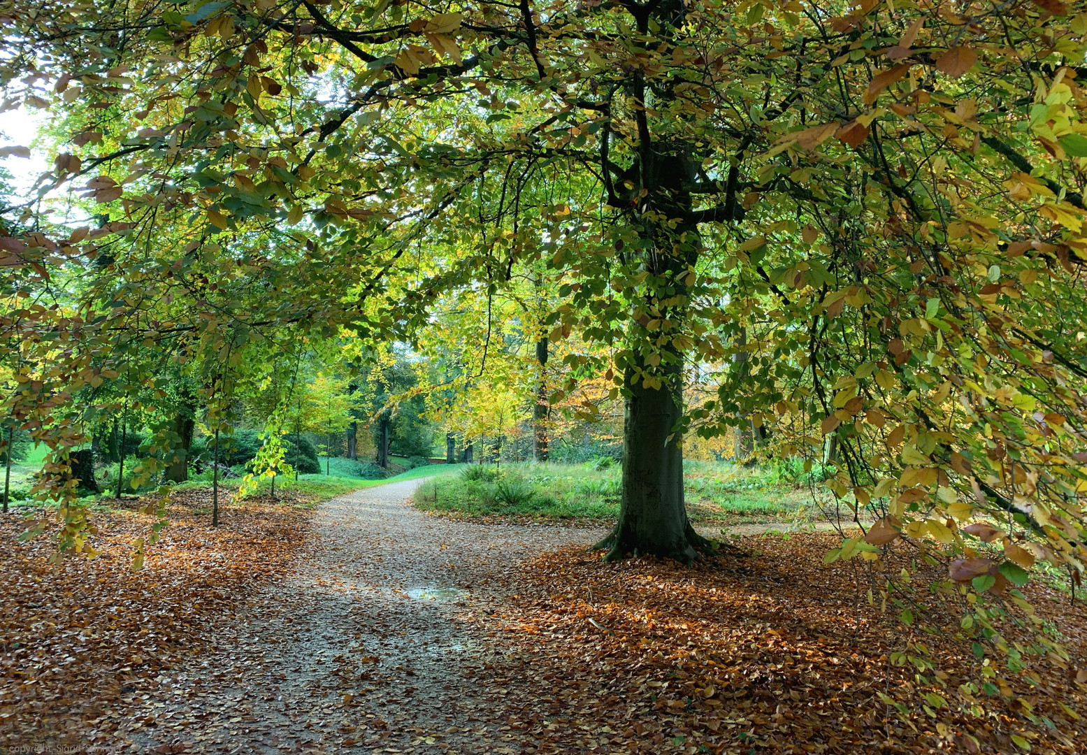 Herbst im Schlosspark Dyck