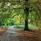 Herbst im Schlosspark Dyck