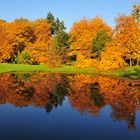 Herbst im Schloßpark in Arcen, NL