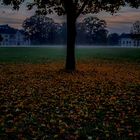 Herbst im Schlosspark Laxenburg 