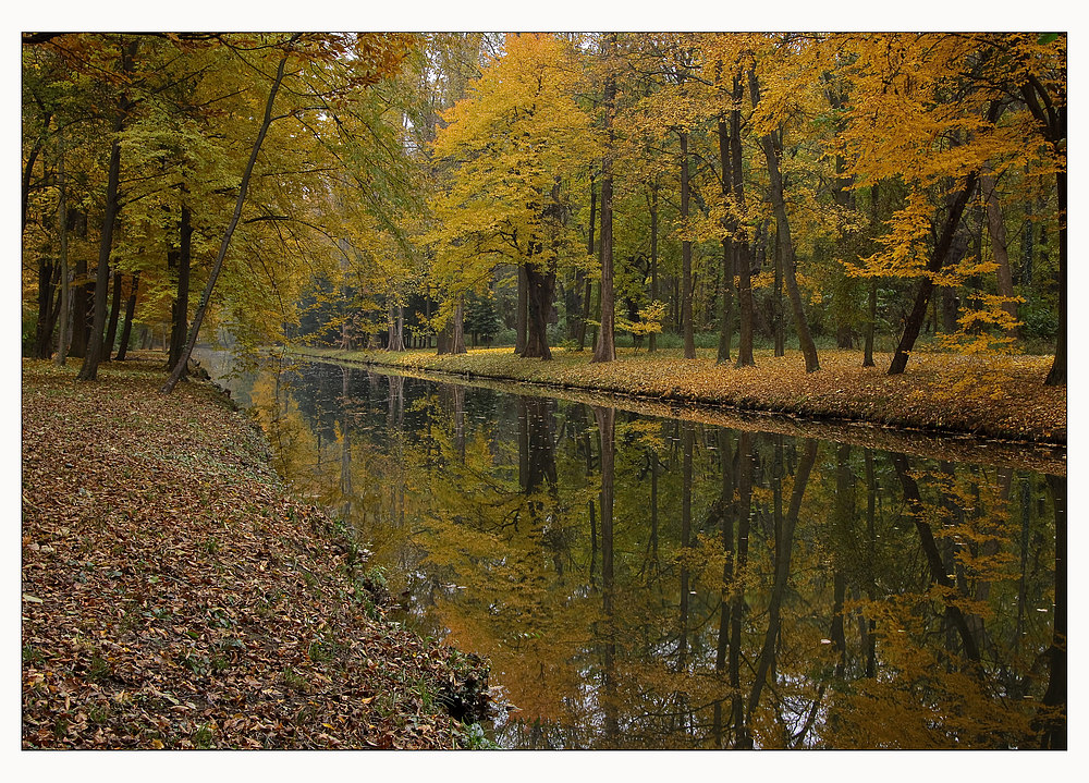 Herbst im Schlosspark Laxenburg