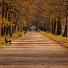 Herbst im Schlosspark Nymphenburg