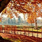 Herbst im Schlosspark Rheinsberg