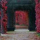 Herbst im Schlosspark Schwetzingen