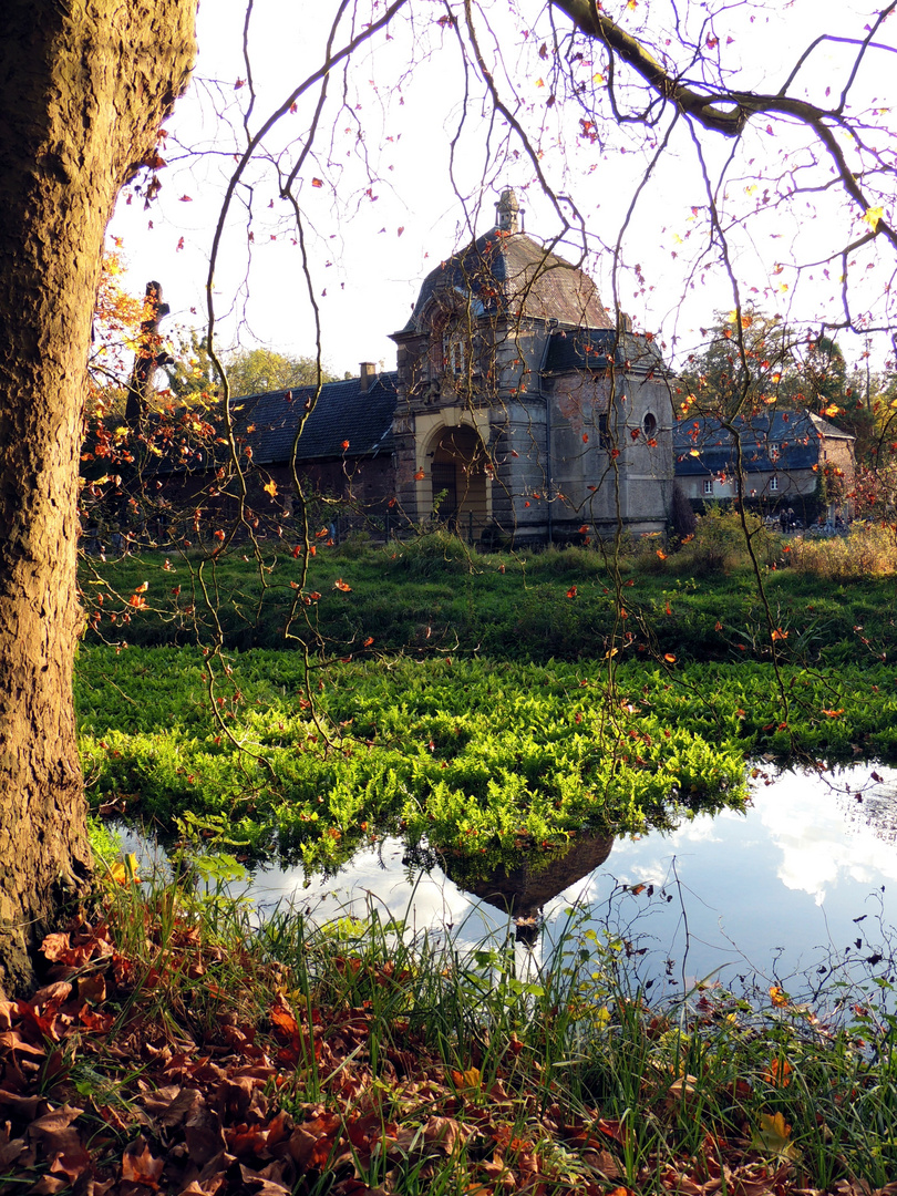 Herbst im Schloßpark Türnich