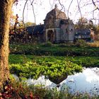 Herbst im Schloßpark Türnich