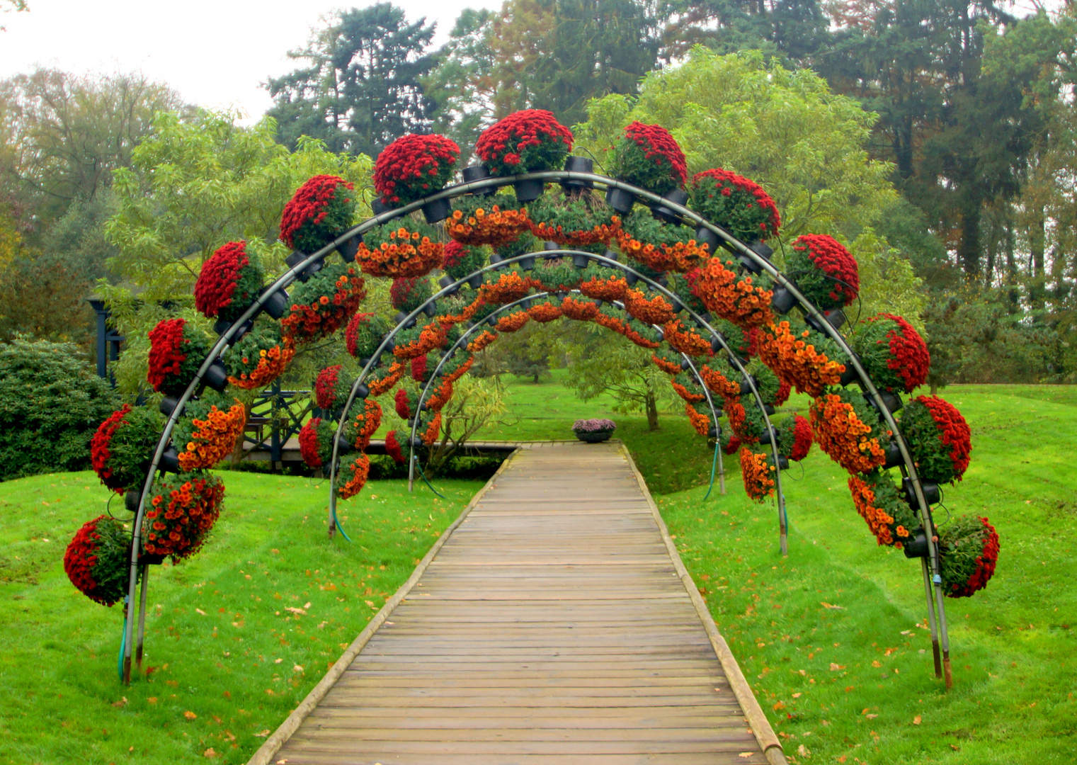 Herbst im Schlosspark von Arcen,NL