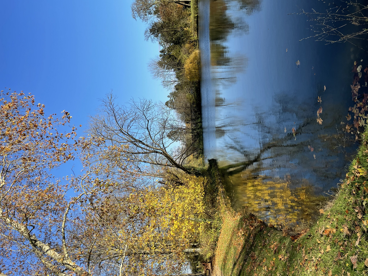 Herbst im Schlosspark von Worms Herrnsheim 