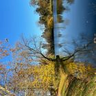Herbst im Schlosspark von Worms Herrnsheim 