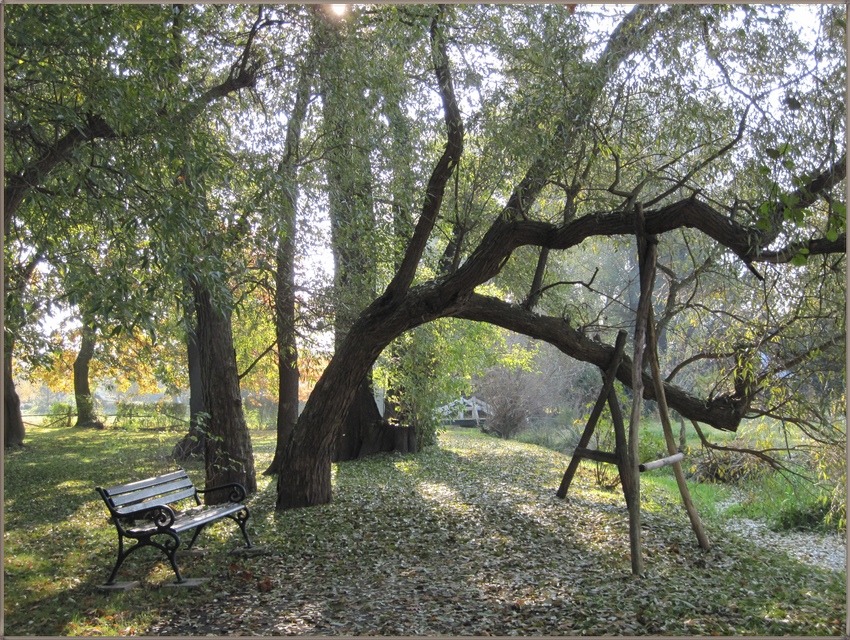 Herbst im Schmerkendorfer Gutspark