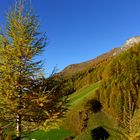 Herbst im Schmirntal