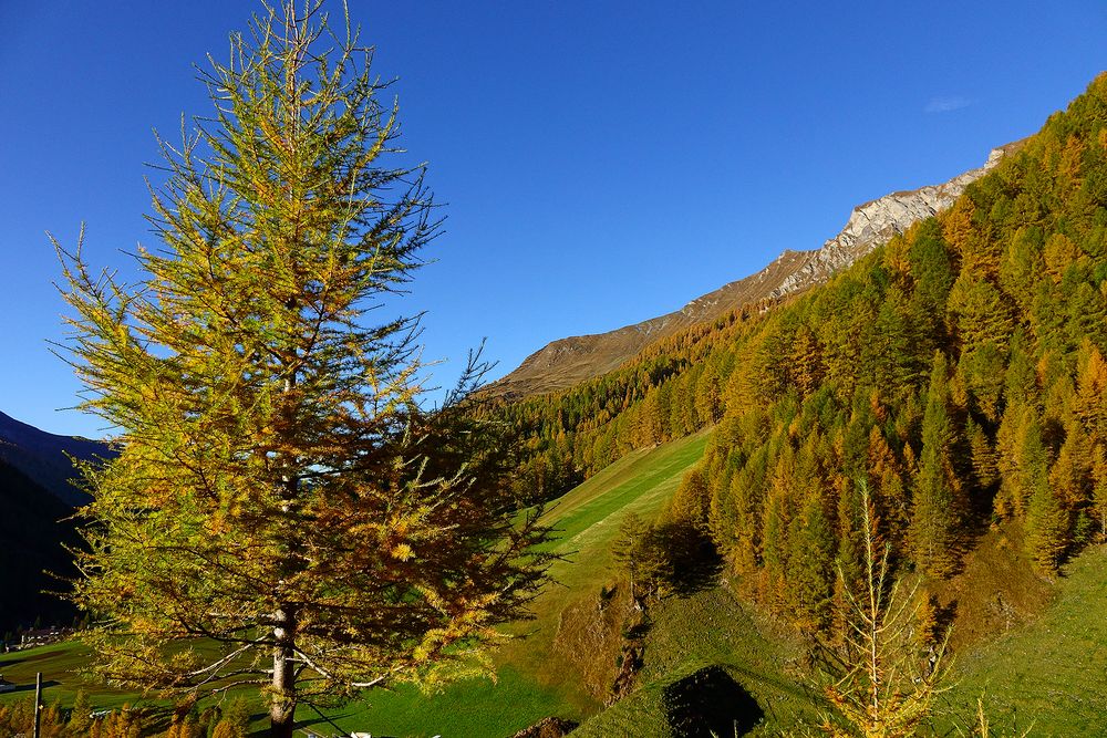 Herbst im Schmirntal