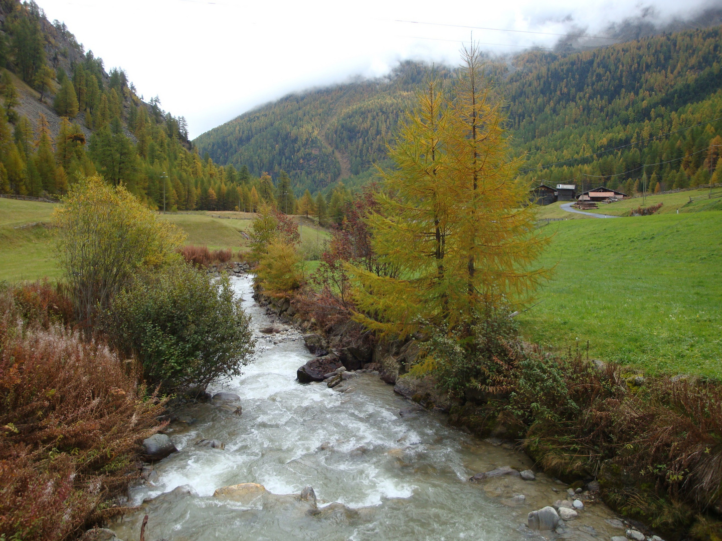 Herbst im Schnalstal