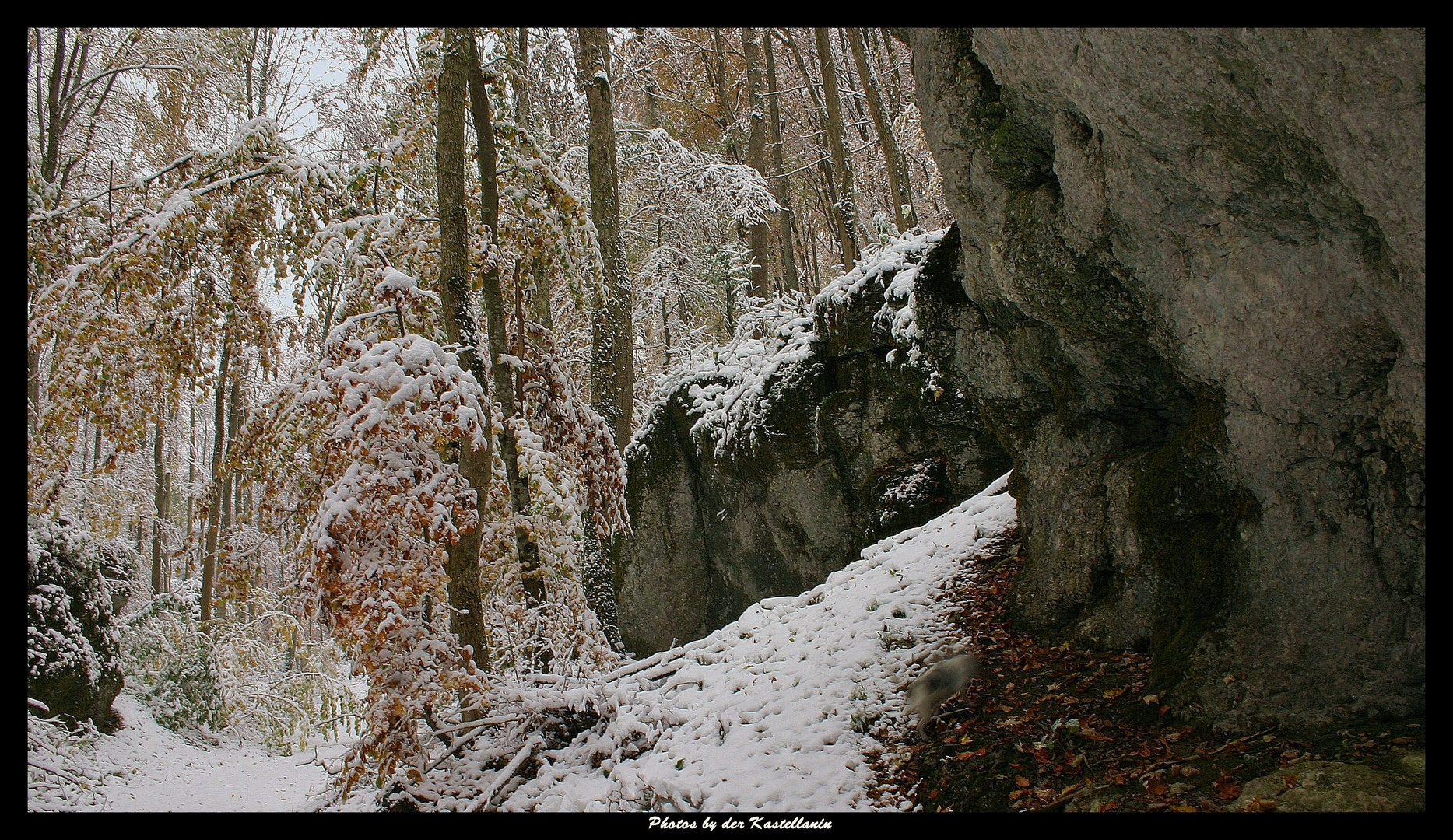 Herbst im Schneemantel