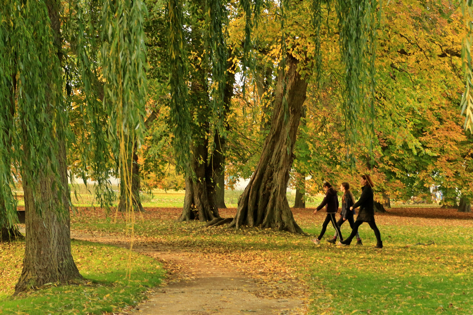 Herbst im Schnelldurchgang