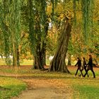 Herbst im Schnelldurchgang