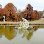 Herbst im Schönbrunner Schlosspark