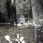 Herbst im Schönbusch