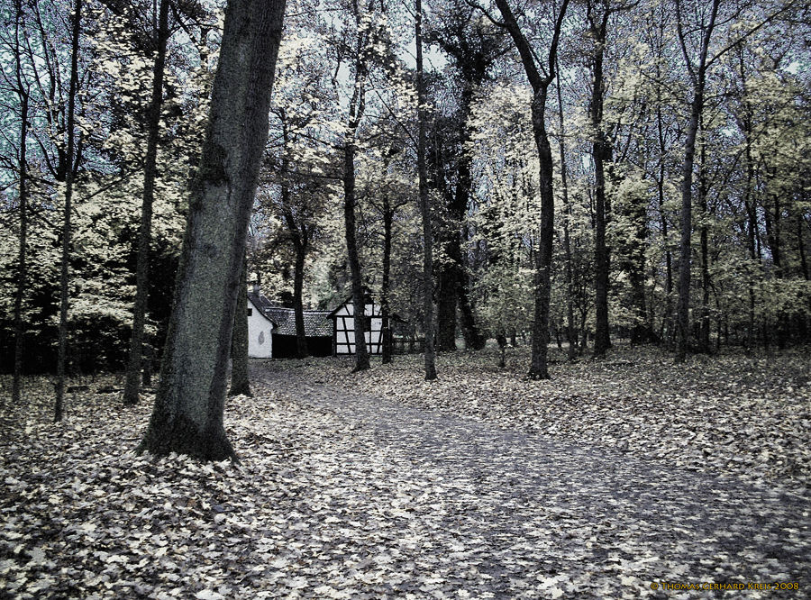 Herbst im Schönbusch - Teil 2