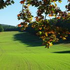 Herbst im Schönefelder Hochland bei Dresden