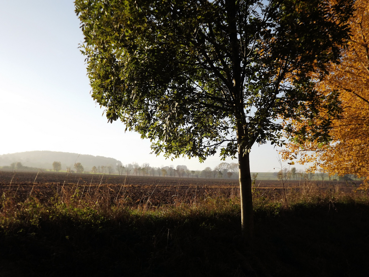 Herbst im Schönfelder Hochland