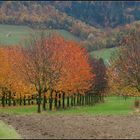 Herbst im schönsten Kleid