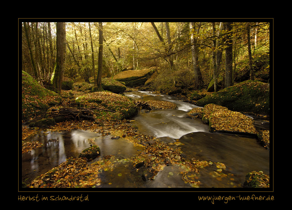 Herbst im Schondratal