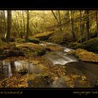 Herbst im Schondratal