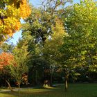 Herbst im Schulpark Baruth