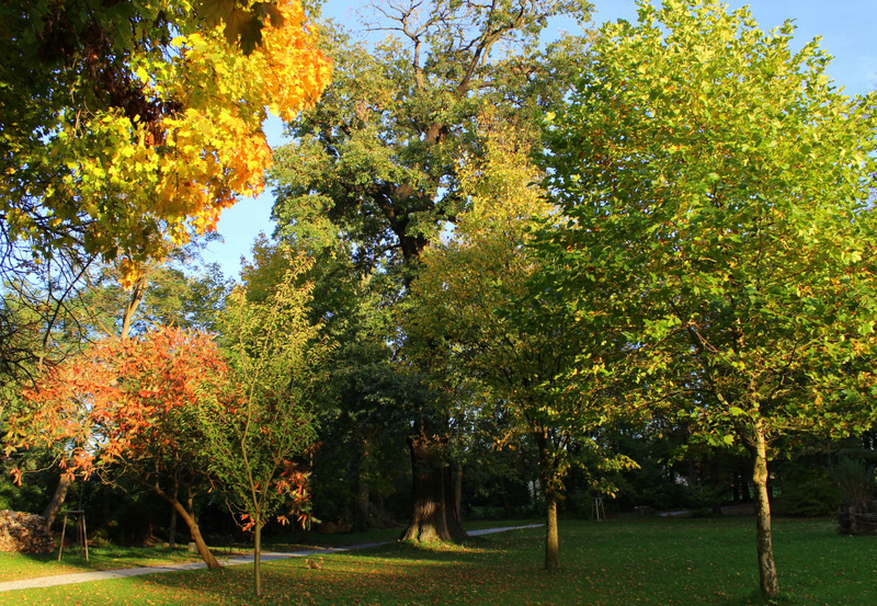 Herbst im Schulpark Baruth