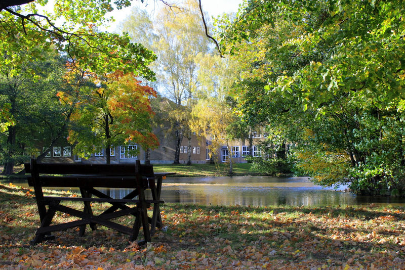 Herbst im Schulpark II