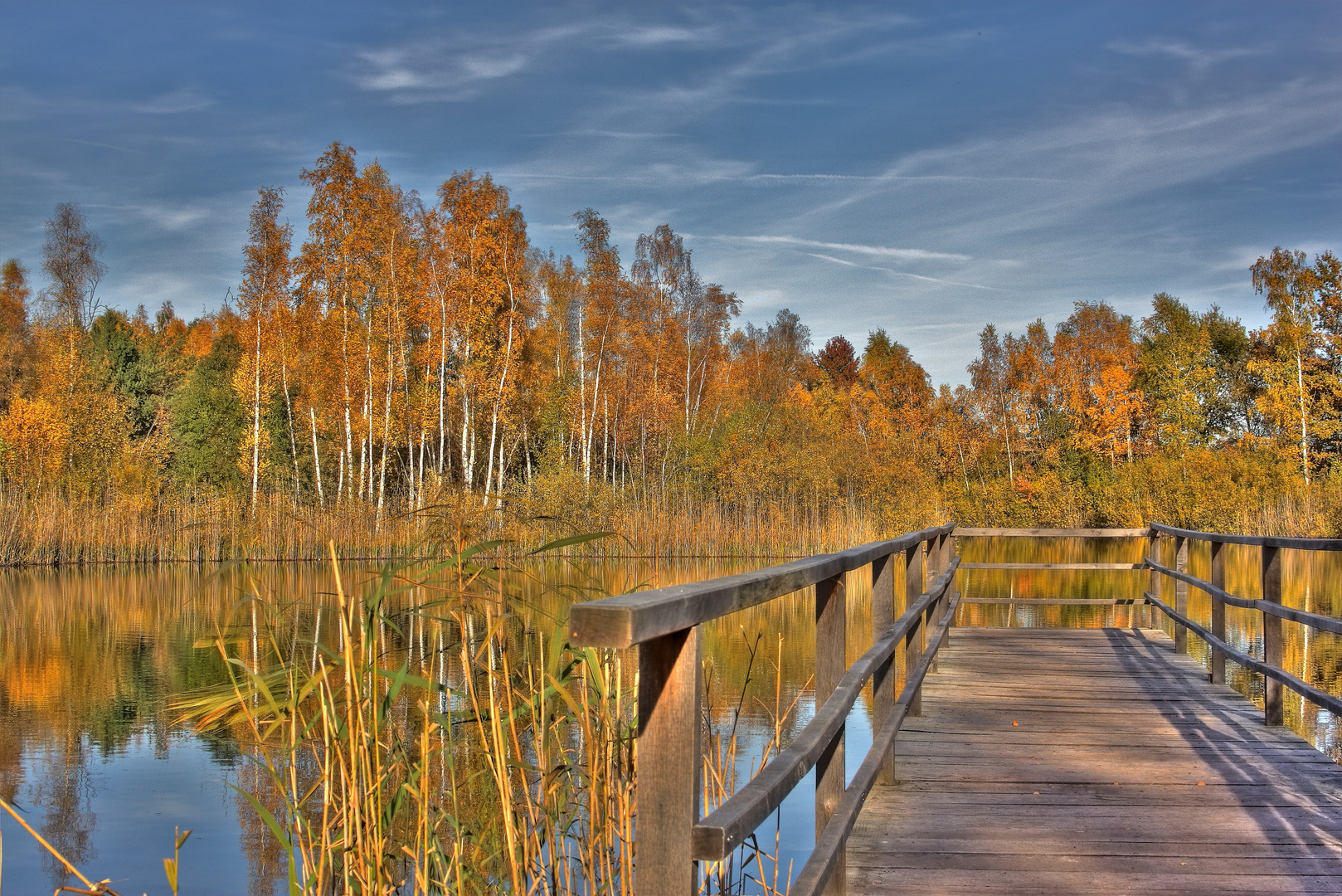 Herbst im Schutzgebiet Erdekaut Hettenleidelheim