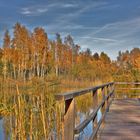 Herbst im Schutzgebiet Erdekaut Hettenleidelheim