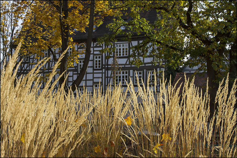 Herbst im Schwabenland