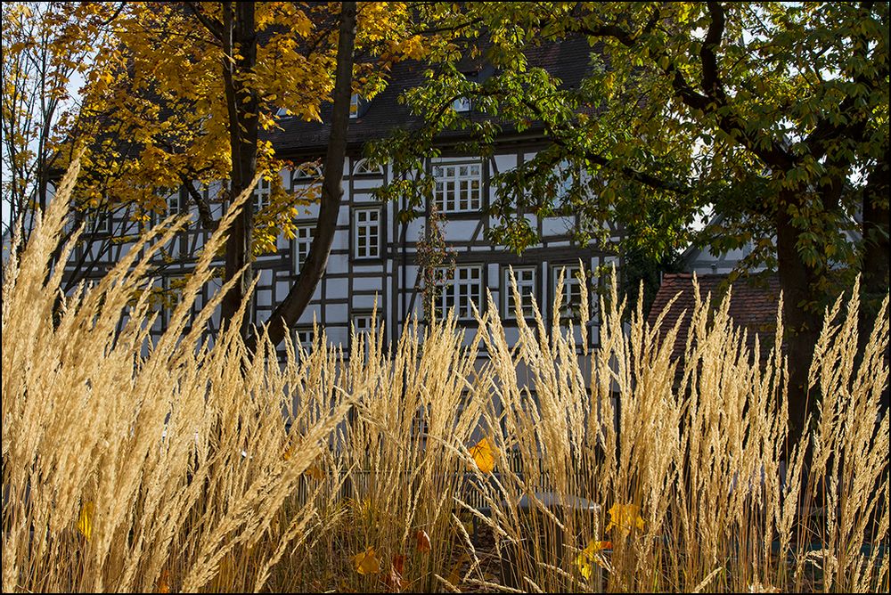 Herbst im Schwabenland