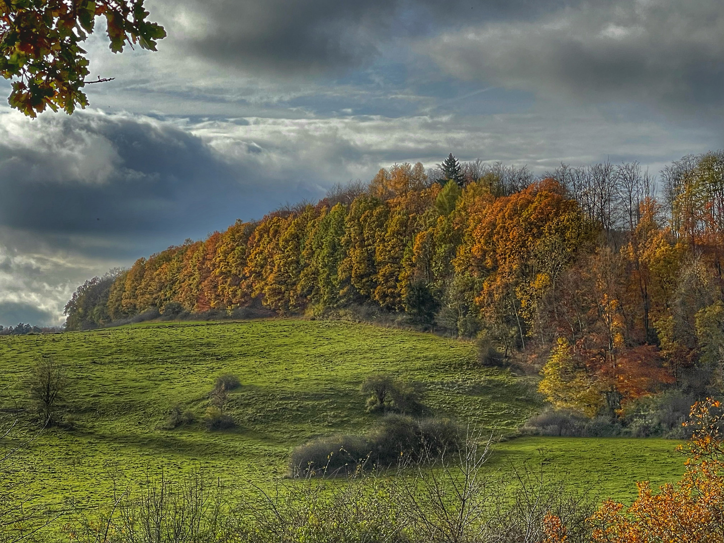 Herbst im Schwalmtal (Hessen)