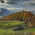 Herbst im Schwalmtal (Hessen)