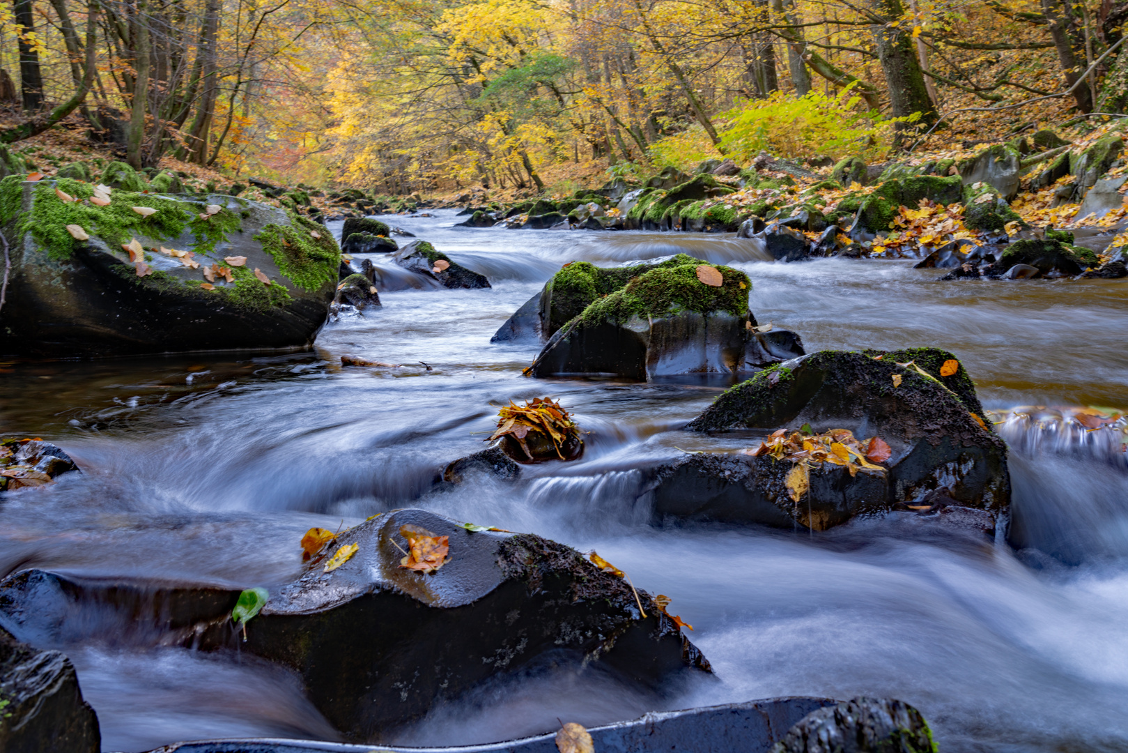 Herbst im Schwarzatal