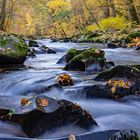 Herbst im Schwarzatal