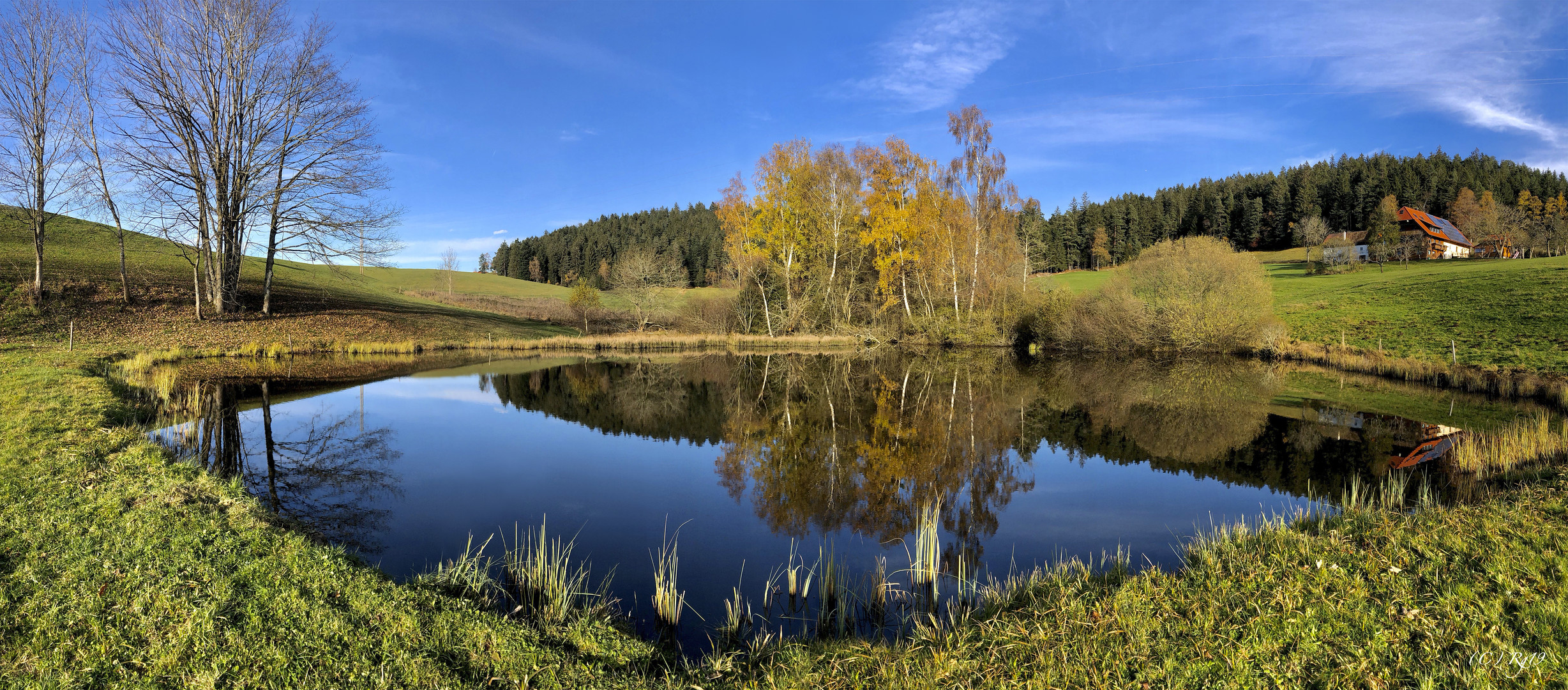 herbst im schwarzwald