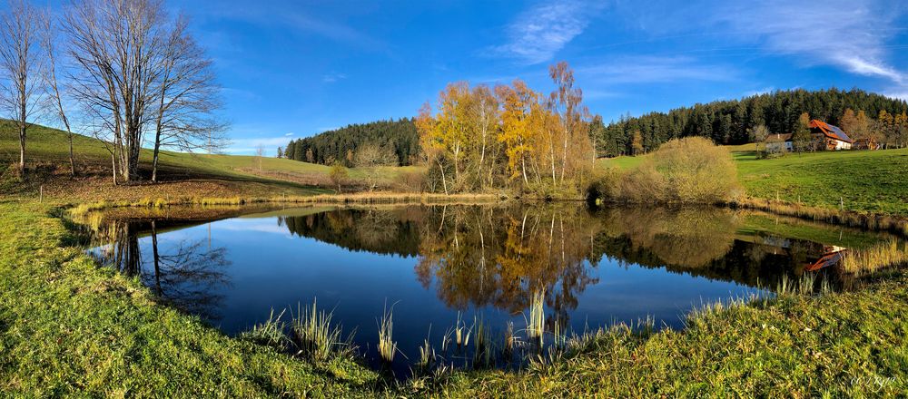 herbst im schwarzwald